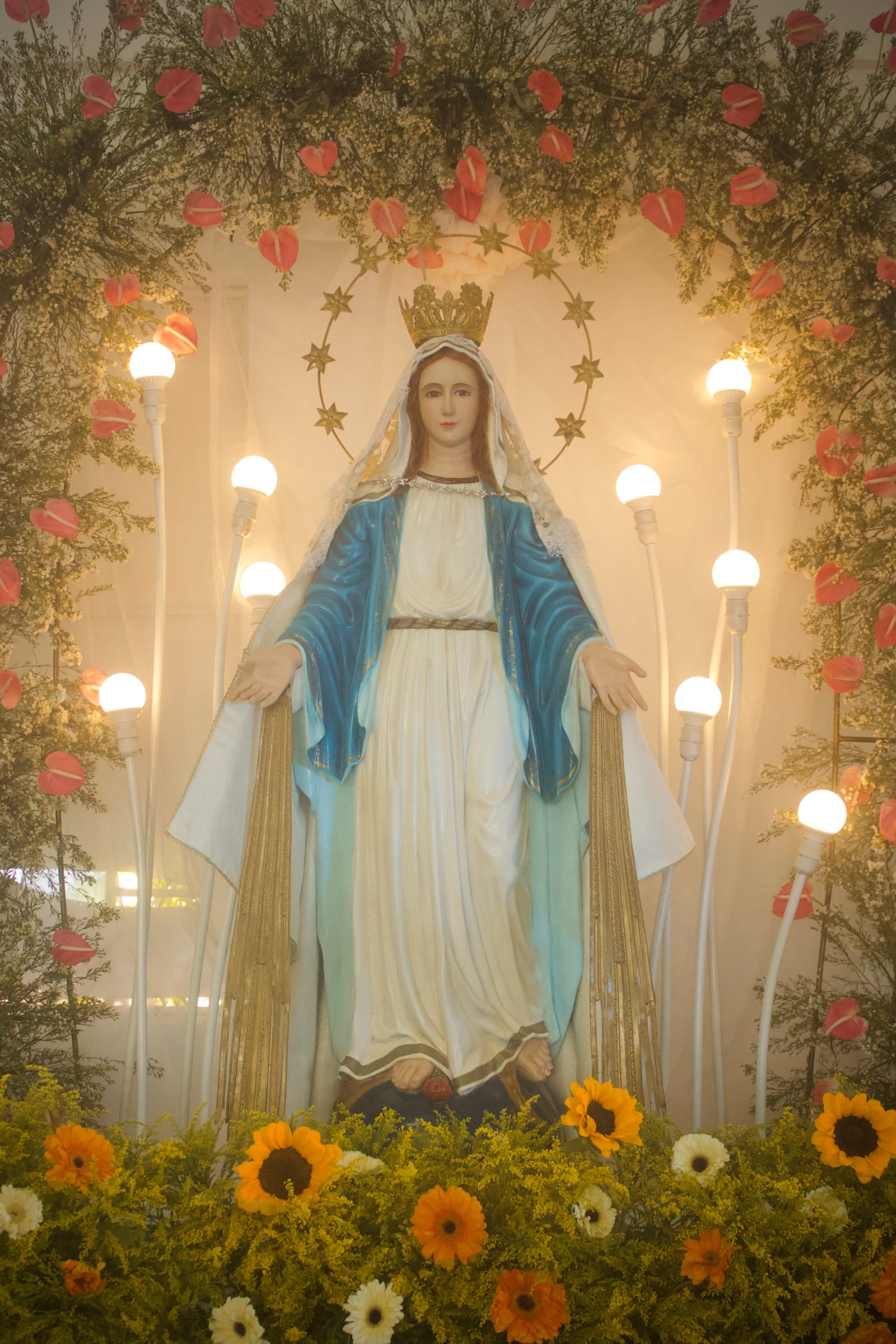 The Miraculous Medal