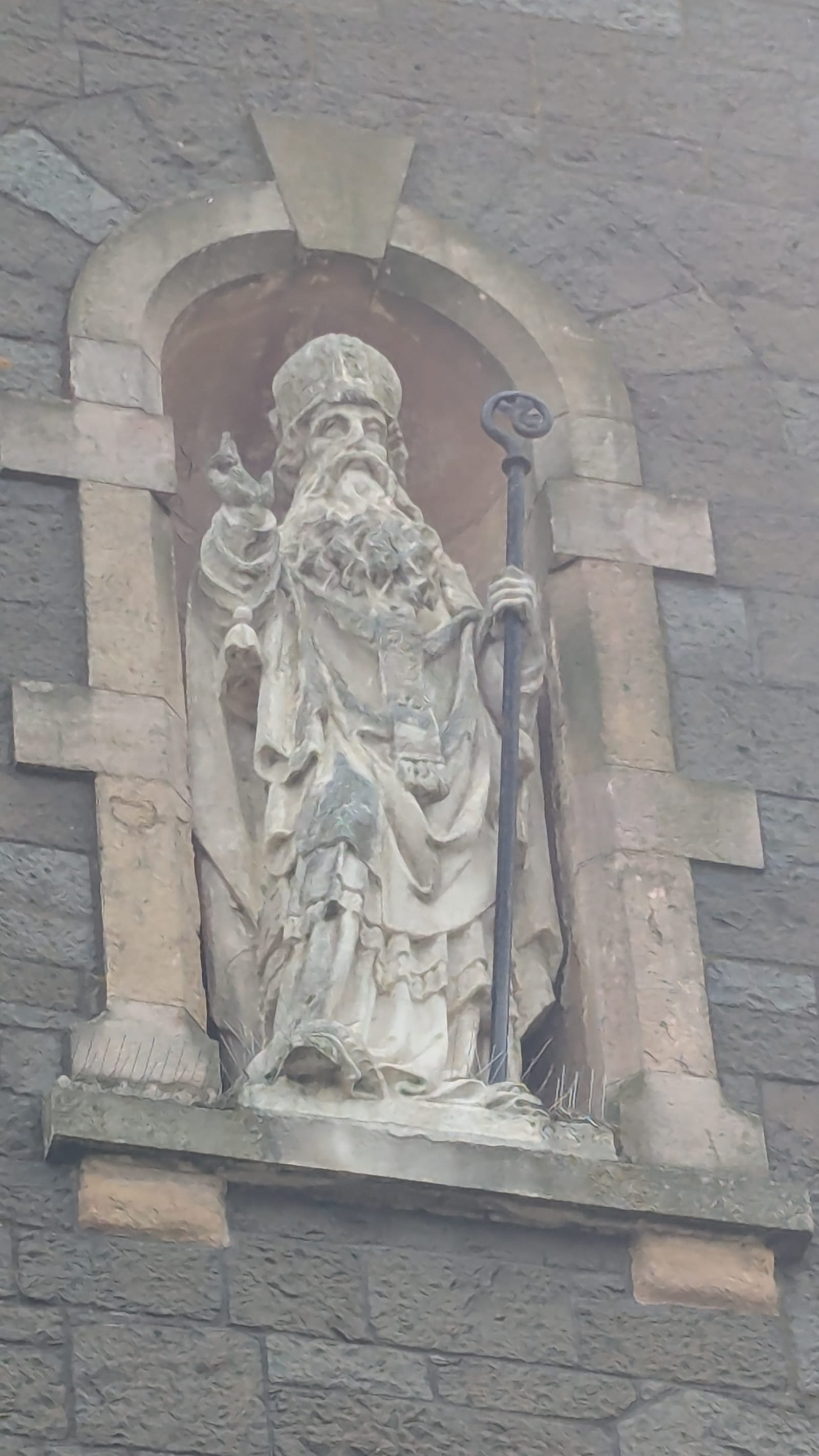 St. Comgall of Bangor