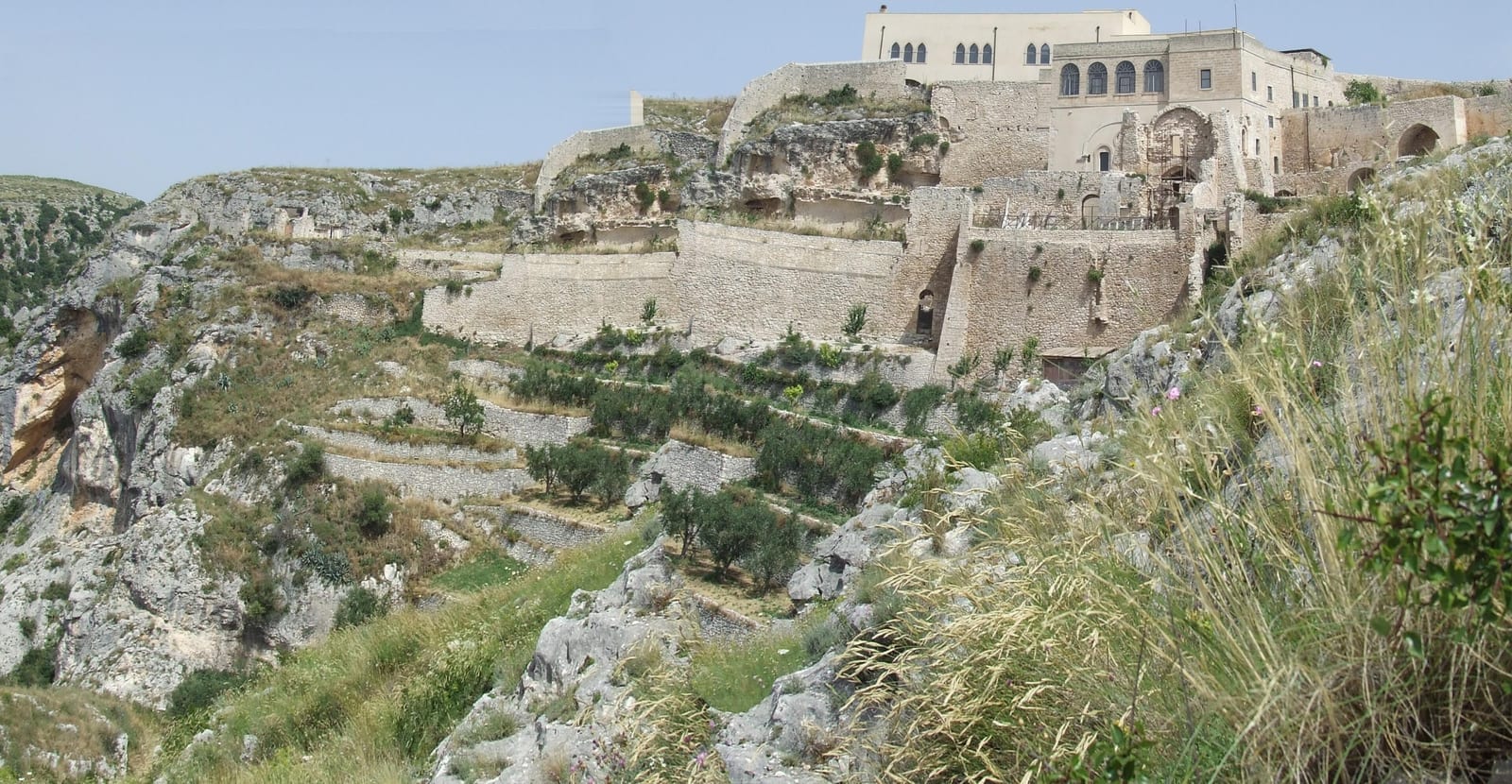 St. John of Matera (John of Pulsano)